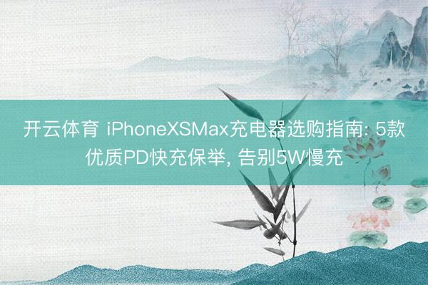 开云体育 iPhoneXSMax充电器选购指南: 5款优质PD快充保举， 告别5W慢充