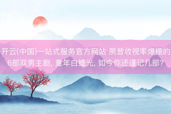 开云(中国)一站式服务官方网站 夙昔收视率爆棚的6部双男主剧, 童年白蟾光, 如今你还谨记几部?
