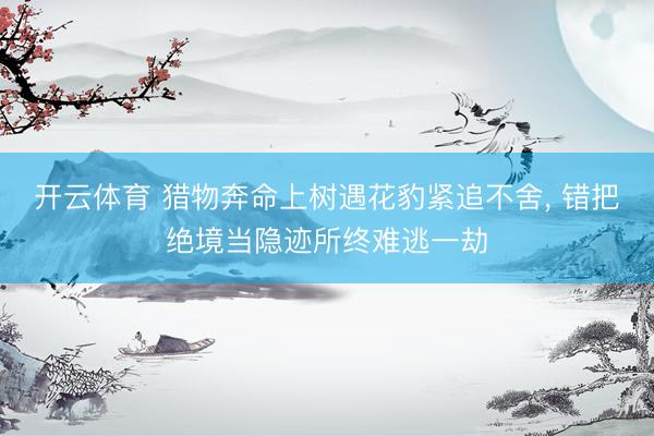 开云体育 猎物奔命上树遇花豹紧追不舍, 错把绝境当隐迹所终难逃一劫