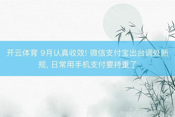 开云体育 9月认真收效! 微信支付宝出台调处新规， 日常用手机支付要持重了