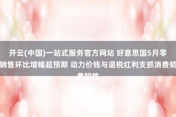 开云(中国)一站式服务官方网站 好意思国5月零卖销售环比增幅超预期 动力价钱与退税红利支抓消费韧性